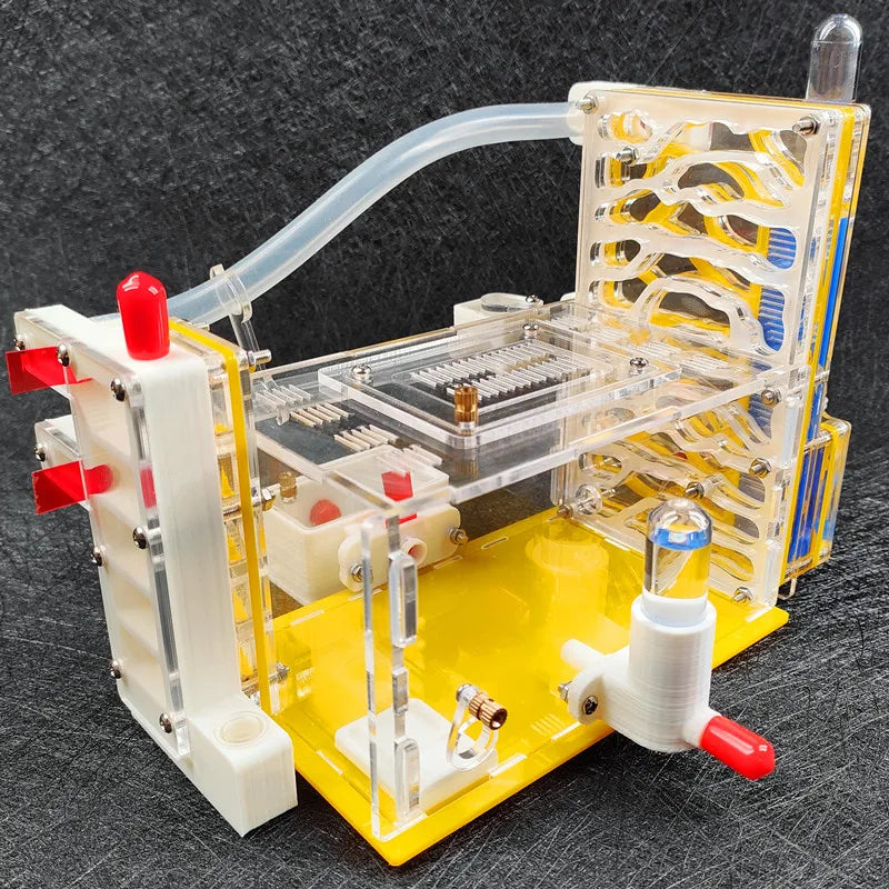 T Design DIY Ant Farm with Feeding Area Acryl Ant Nest Insect Ant House Villa Anthill Pet Workshop Mania for House Ant Hotel
