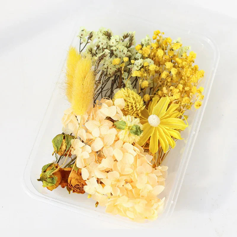 1Box Dried Flowers Dry Plants for Epoxy Resin Casting Mold DIY Aromatherapy Candle Molds Crafts Accessories