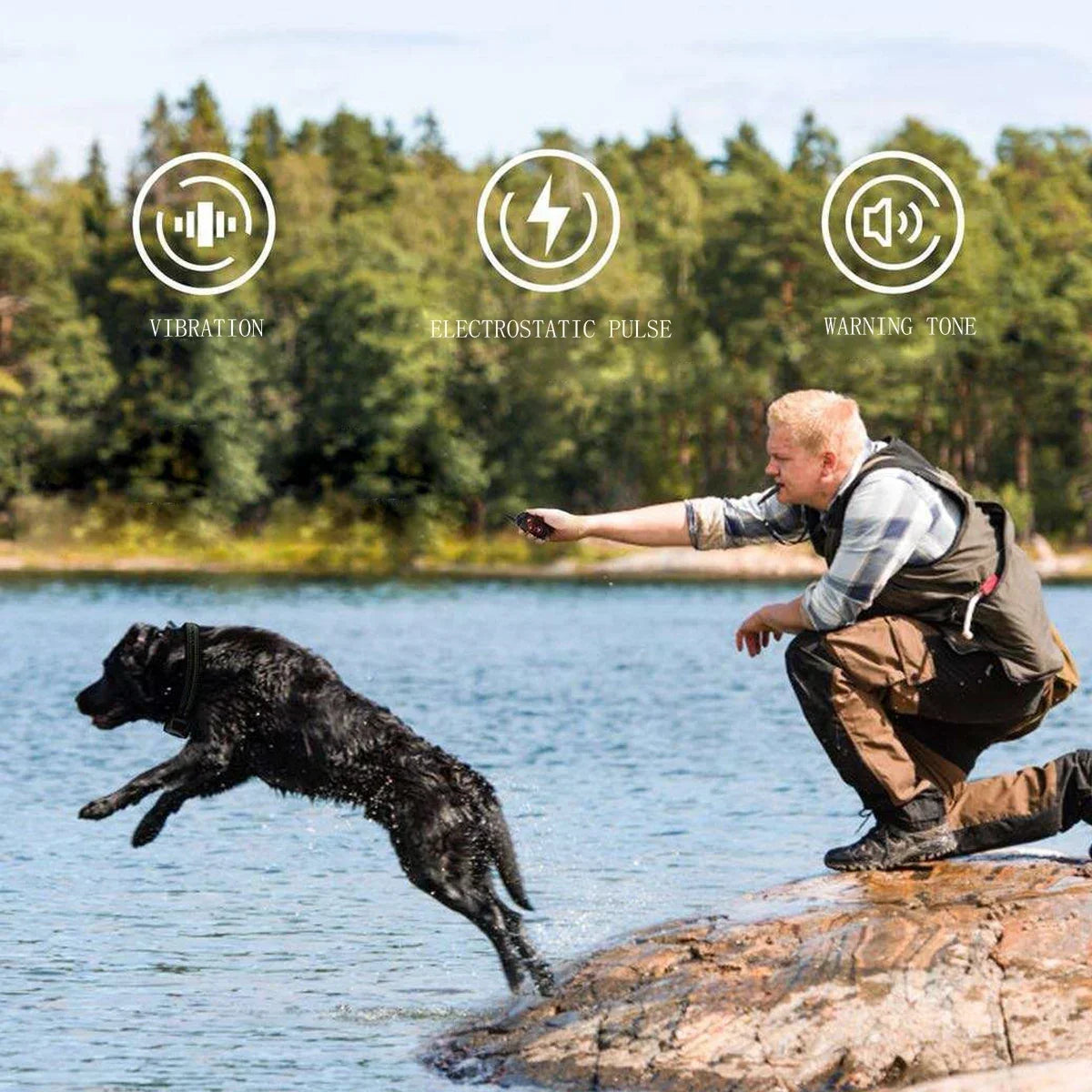 Remote Control Electric Dog Training Device New Automatic Bark Stopper Collar Pet Training Waterproof Pet Dog Collar for All Dog