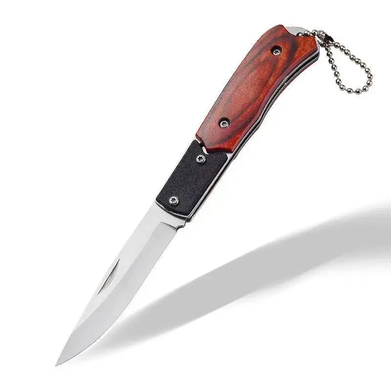 Folding Knife Stainless Steel Outdoor Knife Multifunctional Mini Knife Portable Keychain Fruit Knife