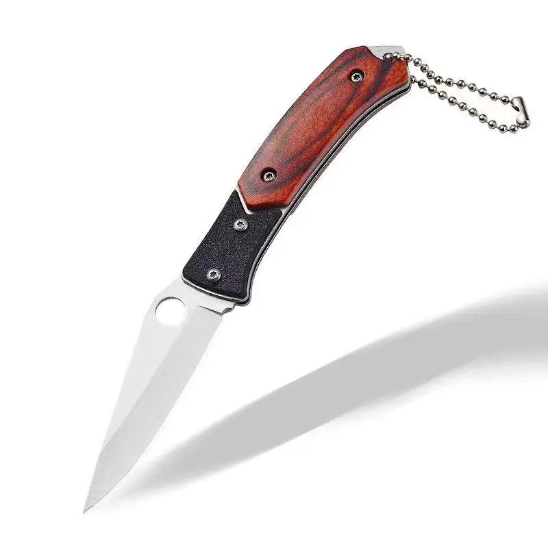 Folding Knife Stainless Steel Outdoor Knife Multifunctional Mini Knife Portable Keychain Fruit Knife