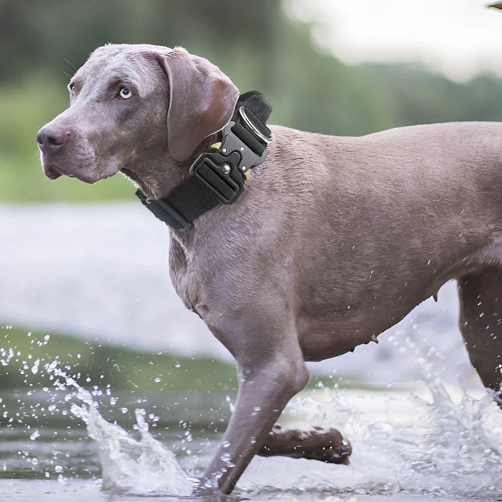 Tactical Dog Collar for Medium to Large Dogs 8 Colors Pet Collar Durable Comfortable Harness for Training And Control