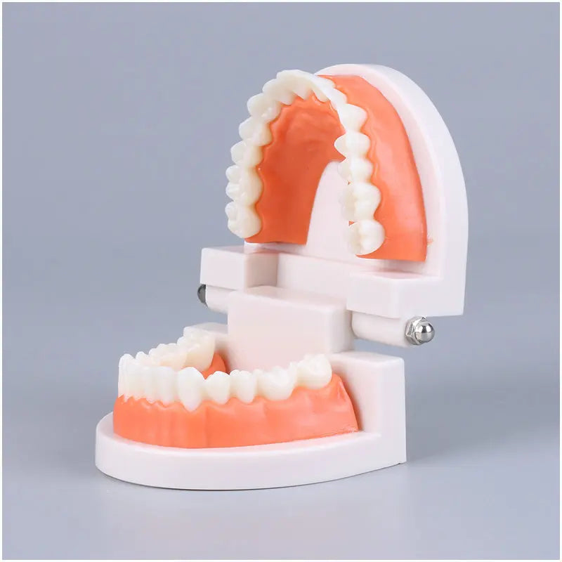 Montessori Educational Toys for Children Early Learning Kids Intelligence Brushing Tooth Teaching Aids Simulated Practical Life