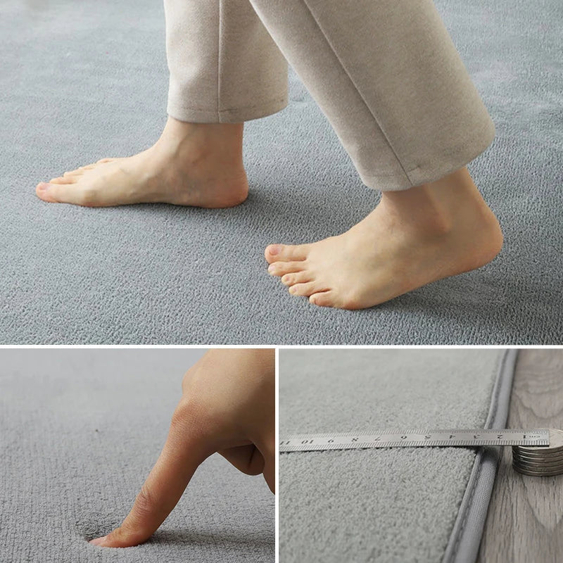 VIKAMA Modern Coral Velvet Carpet Soft Non-Slip Living Room Bedroom Carpet.