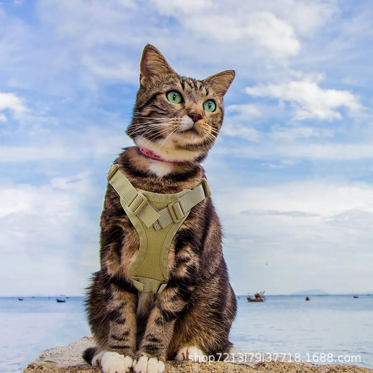 1PC Tactical Cat Harness Reflective Pet Vest With Handle Adjustable Outdoor Walking Training Cat Accessories