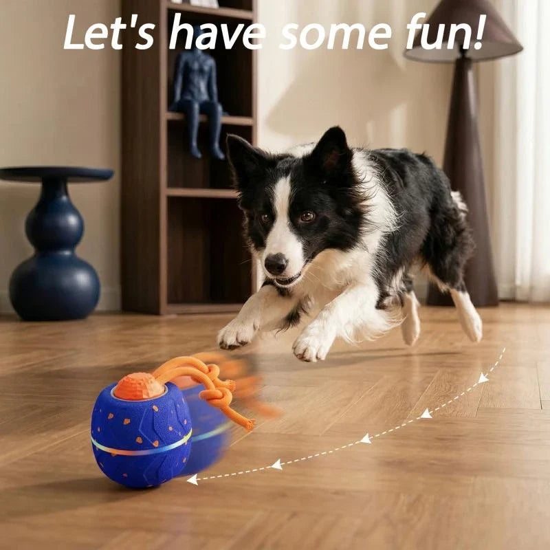 Rechargeable Automatic Rolling Ball Interactive Chase Toy for Dogs Cats Smart Pet Play Ball