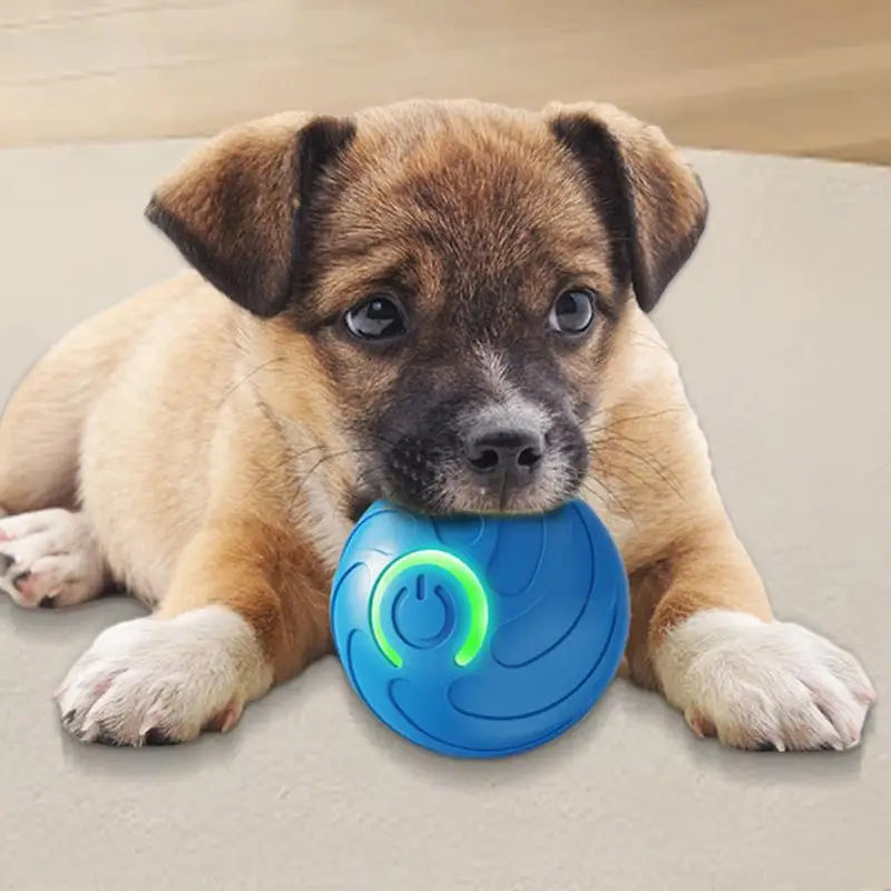 Smart Dog Toy Ball Electronic Interactive Pet Toy Moving Ball USB charging Moving for Puppy Birthday Gift Cat Products