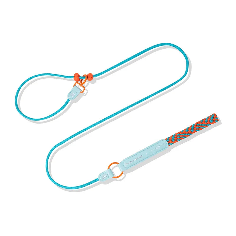 New Durable Nylon Pet P Chain Dogs Slip Training Lead Adjustable Puppy Dog Training Leash Collar For Small Medium Large Dogs