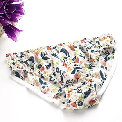 Lingerie Mid Rise 100% Natural Silk Briefs Mulberry Silk Panties Women's Underwear