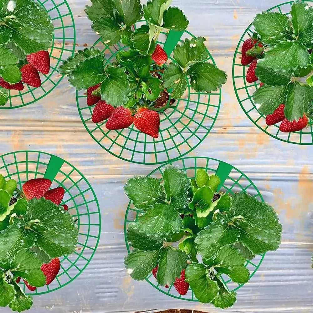 1/3Pcs Round Strawberry Stand Anti-corrosion Anti-ground Strawberry Cradle Support with Three Sturdy Legs Trellis Planter Insert