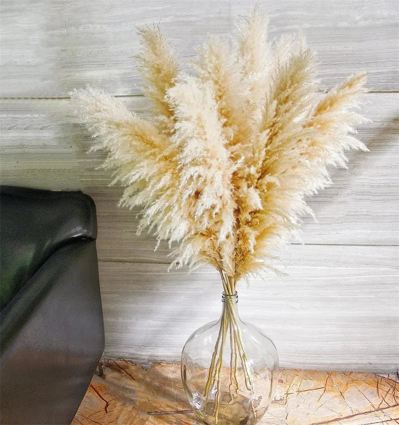 50-60cm Natural Fluffy Large Pampas Grass Wedding Arch Decor Dried Artificial Plants Pampas Home Decoration Outdoor Dry Flower