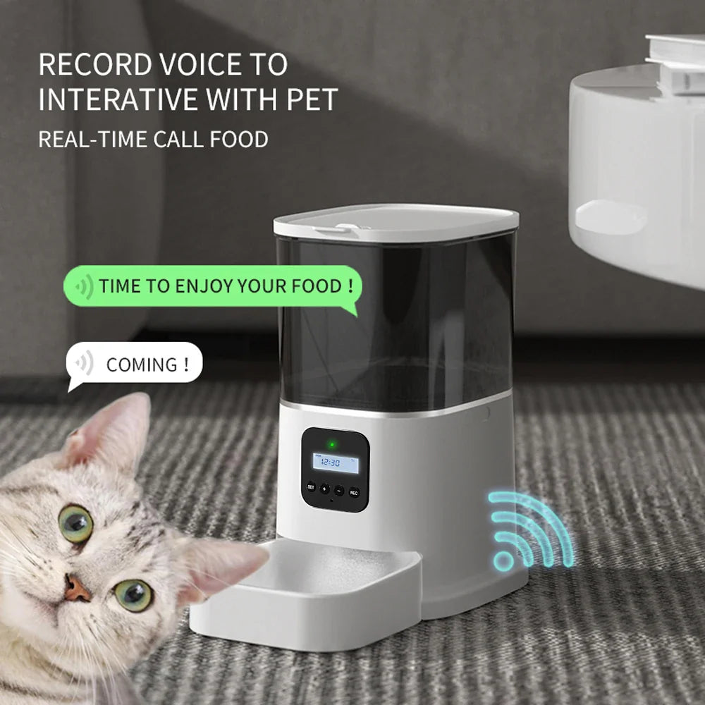 Iseebiz 3L Automatic Pet Feeder With Voice Record Pets Food Bowl For Medium Small Dog Cat LCD Screen Dispensers 4 Times One Day