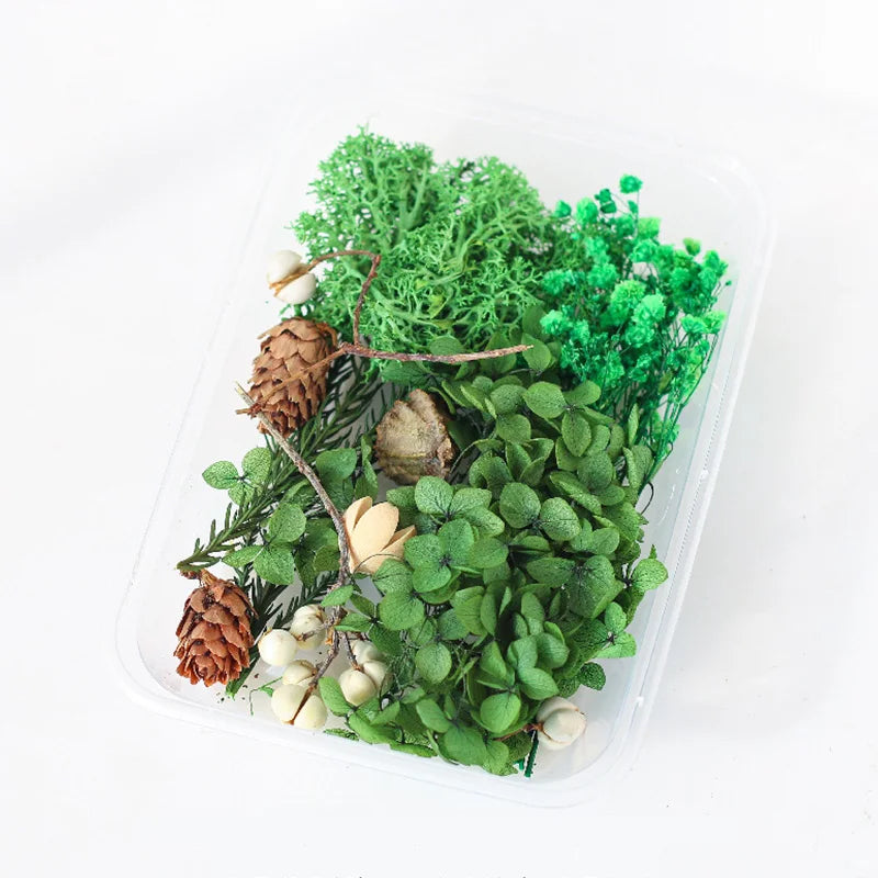 1Box Dried Flowers Dry Plants for Epoxy Resin Casting Mold DIY Aromatherapy Candle Molds Crafts Accessories