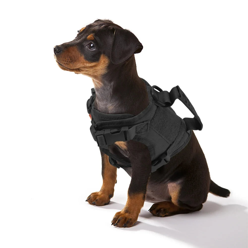 Tactical Small Dog Harness For Puppy Cats Adjustable Kitten Vest Harnesses For Military Dogs Working Training Walking Free Size