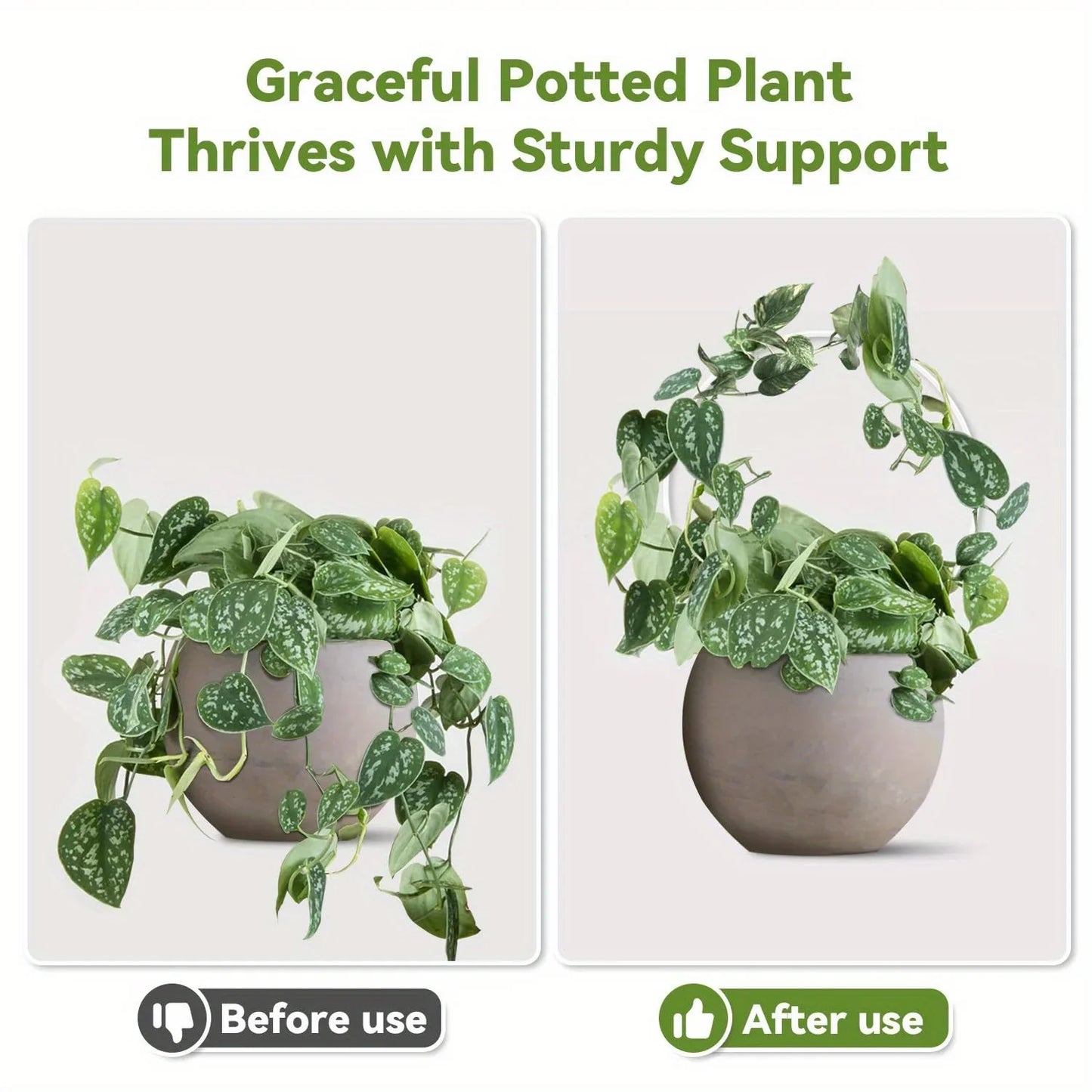 Round transparent acrylic plant stand, suitable for indoor and outdoor use, suitable for small climbing plants, etc.