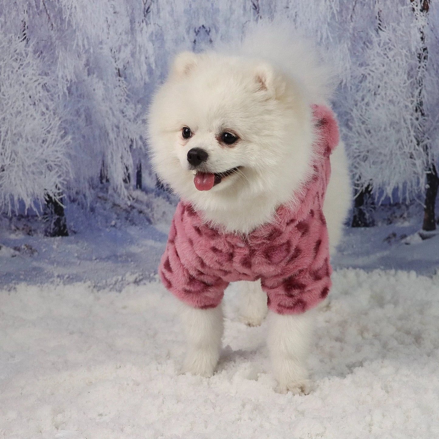 Pet Warm Clothes for Dog Cat Puppy Jacket with Lovely Ear Hat Fuzzy Coat  Sweatshirt Dog Costume Outfits for Small Medium Dog fo