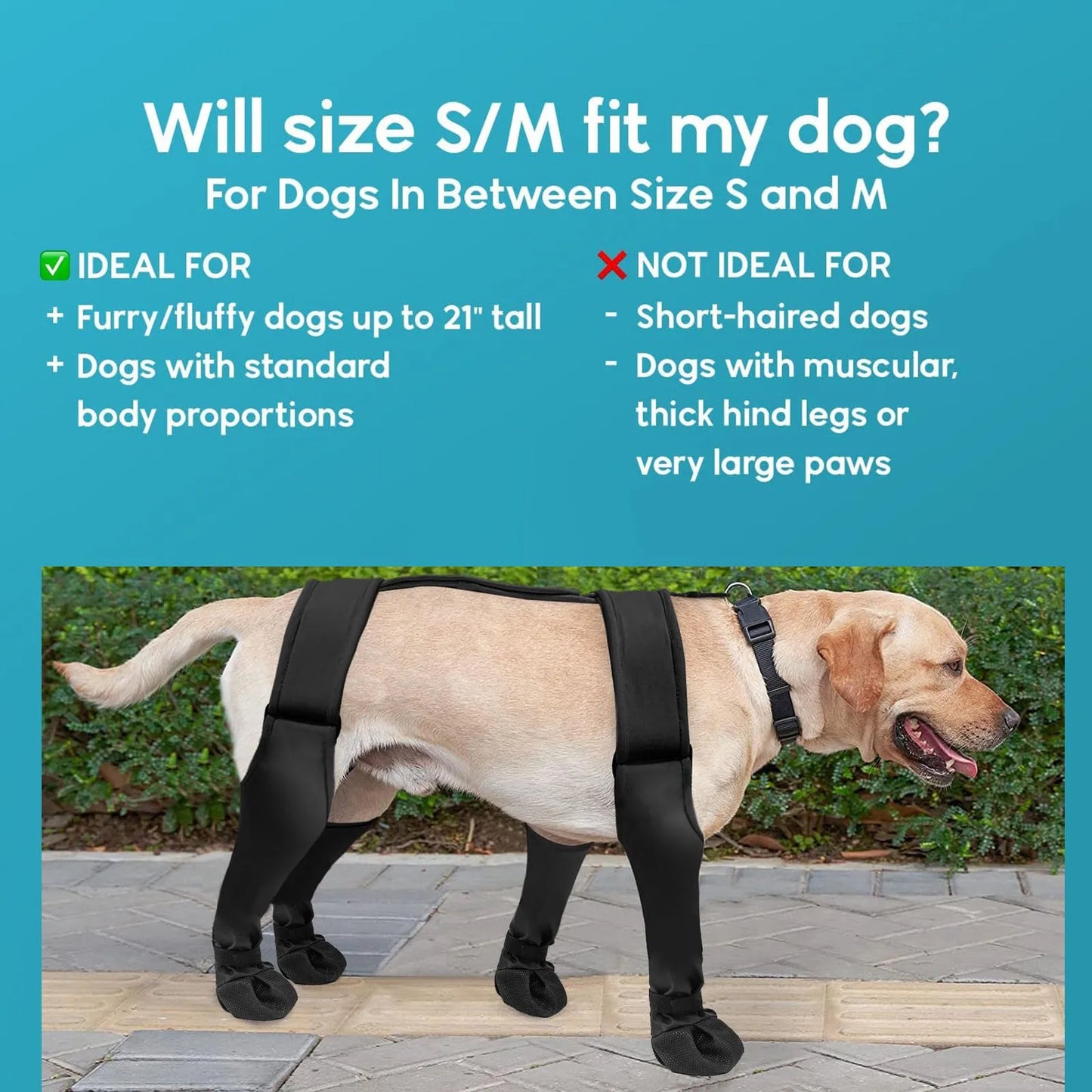 Going Out Dog Boots Dog Shoes Pet Supplies Dirty Dog Shoes Pet Protector All Seasons Pet Clothes For Small Dogs Non Shedding