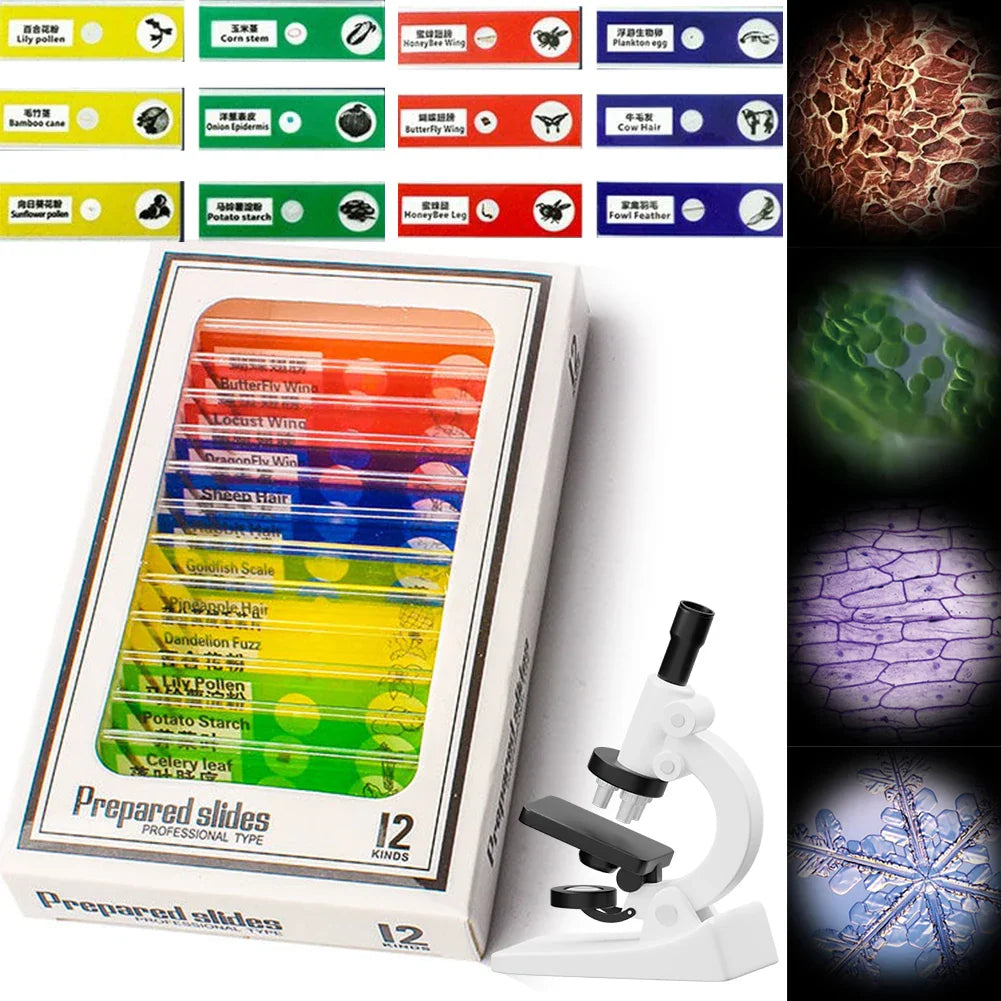 1000x Kids Microscope Electronic Magnifier Camera 200 Megapixels Educational Science Toys with 8 LED Light Photo Video Function