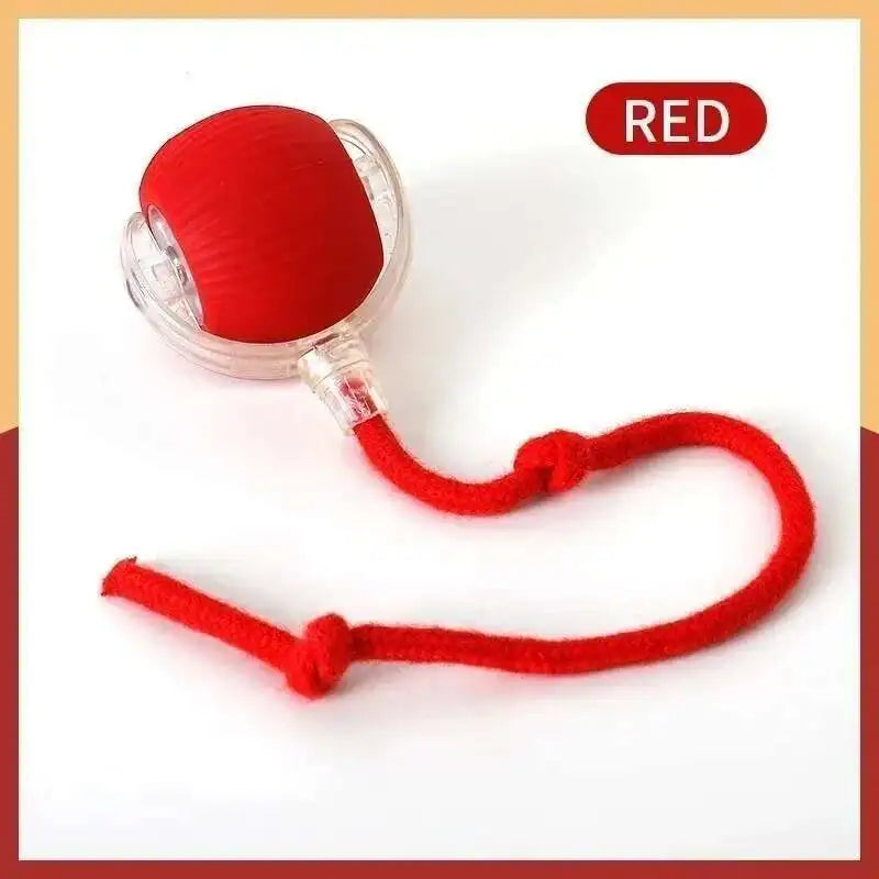 Smart Dog Toy Ball Electronic Interactive Pet Toy Moving Ball USB Automatic Moving Jumping Bouncing Toy Ball Puppy Cat Product