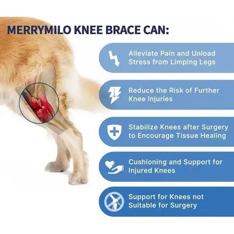 Dog Knee Protector Adjustable Black Dog Back Leg Brace Comfortable Knee Pad For Leg Injury Care Universal Leg Protector For