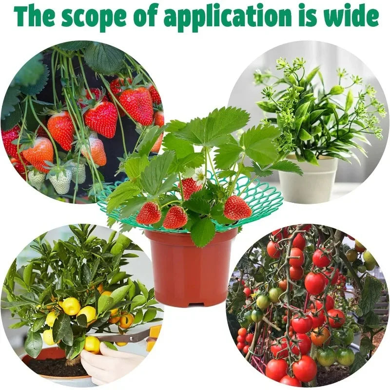 5-50Pcs Strawberry Plant Supports with 3 Sturdy Legs Strawberry Growing Racks Protector Frame Holder Cage From Mold Rot Dirt