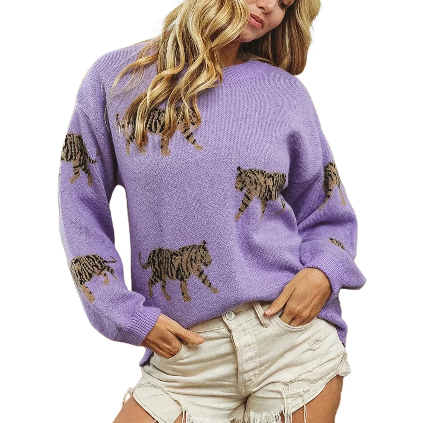 Cozy Women s Sweater with Stylish Leopard Print Design Long Sleeves and Soft Knit Fabric for Autumn Fashion Statement