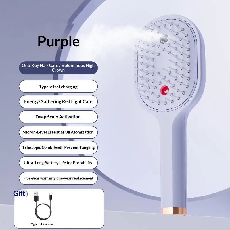 Electric Steam Hair Straightening Brush Water Spray Wet Dry Use USB-C Fast Charging Portable Hair Tool for Salon Travel Use