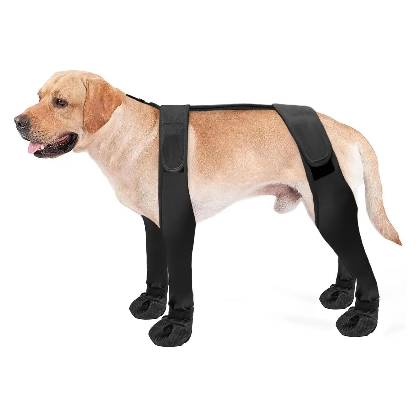 Going Out Dog Boots Dog Shoes Pet Supplies Dirty Dog Shoes Pet Protector All Seasons Pet Clothes For Small Dogs Non Shedding