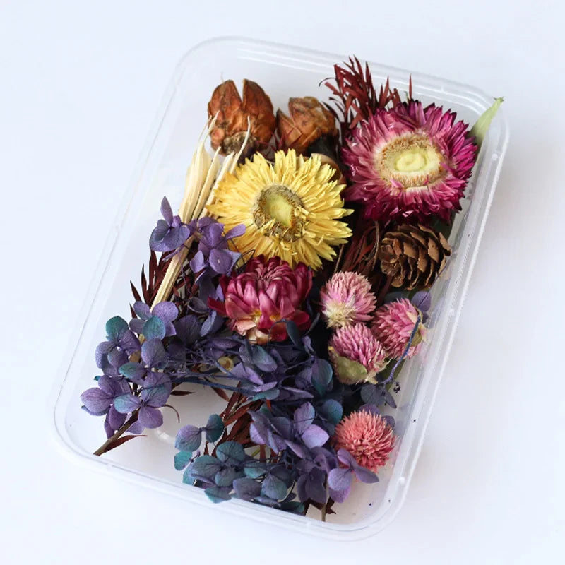 1Box Dried Flowers Dry Plants for Epoxy Resin Casting Mold DIY Aromatherapy Candle Molds Crafts Accessories