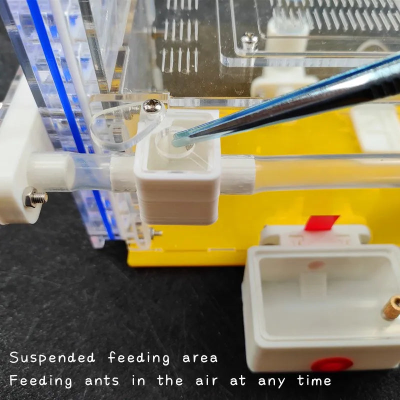 T Design DIY Ant Farm with Feeding Area Acryl Ant Nest Insect Ant House Villa Anthill Pet Workshop Mania for House Ant Hotel