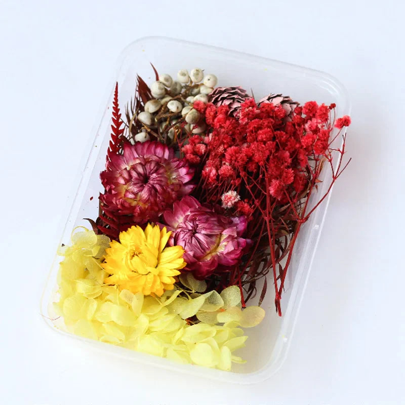 1Box Dried Flowers Dry Plants for Epoxy Resin Casting Mold DIY Aromatherapy Candle Molds Crafts Accessories