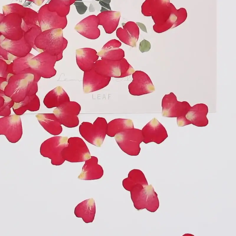 120Pcs Rose Petals Mixed Pack, Dried Flowers, Pressed Flowers, Handmade Resin Decorations, Nail Art, Face Stickers, Phone Case Materials