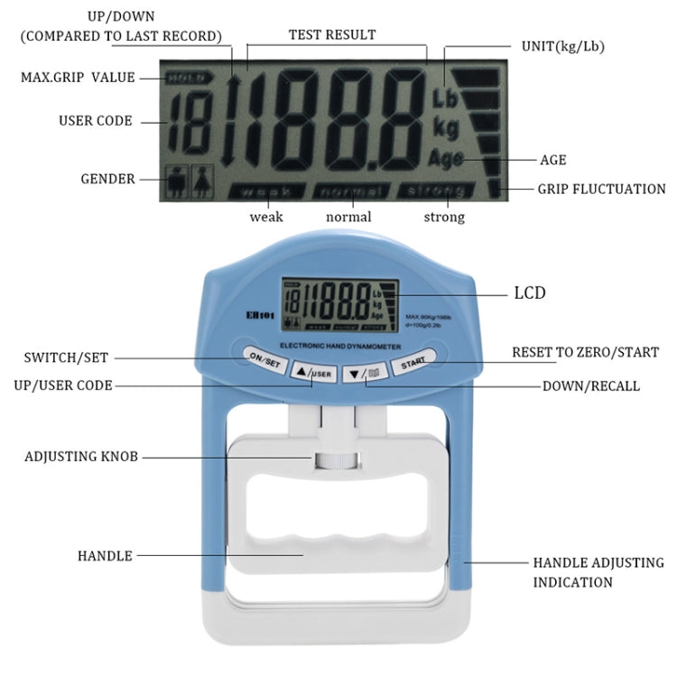 EH101 Electronic Arm Strength Dynamometer Suitable for Sports Training, EH101