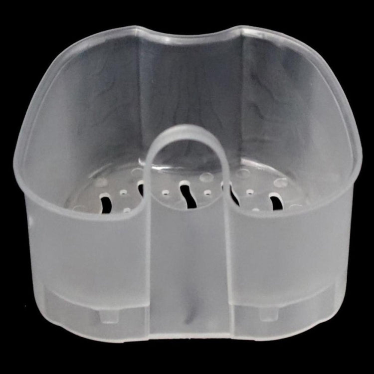 Cleaning Teeth Case Dental False Teeth Storage Box