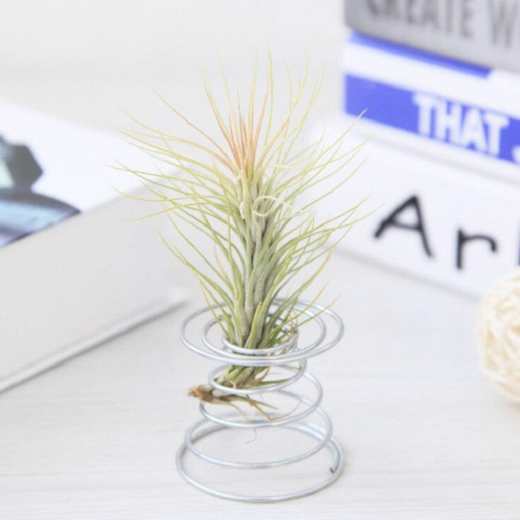 2 PCS Air Aluminum Wire Pineapple Rooting Holder Spring Base, Pineapple Rooting Holder