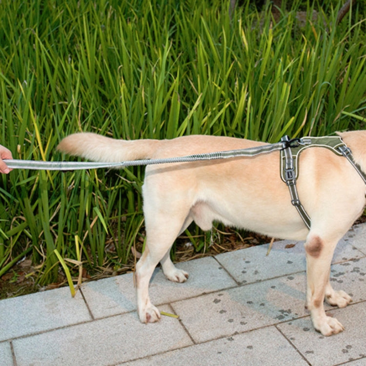 Dog Outdoor Anti-Scourge Traction Rope Nylon Reflective Elastic Stretch Dog Walking Rope, Elastic Stretch Green, Elastic Stretch Yellow