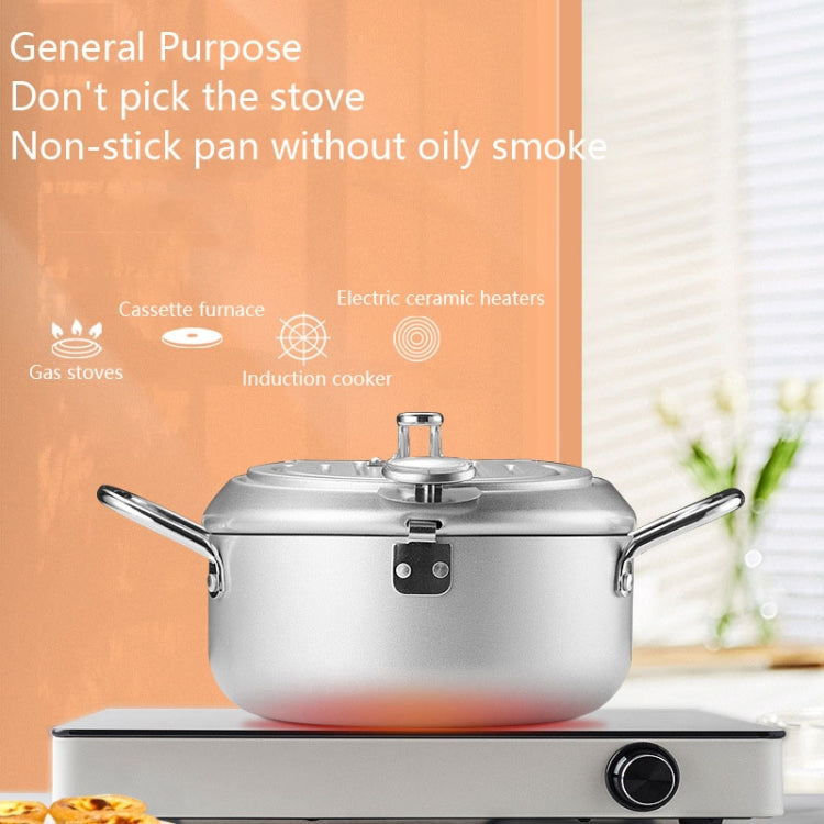 Fryer Pot Household Non-Stick Pan Temperature Control Mini Frying Pot, 24cm, 20cm