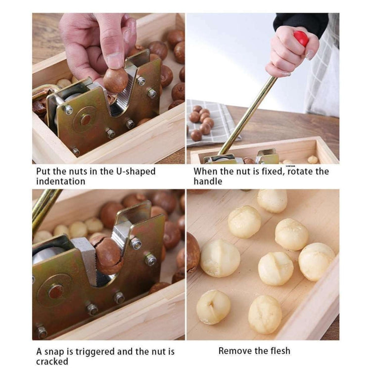 Nut Walnut Macadamia Opener Fruit Opener, Walnut Opener