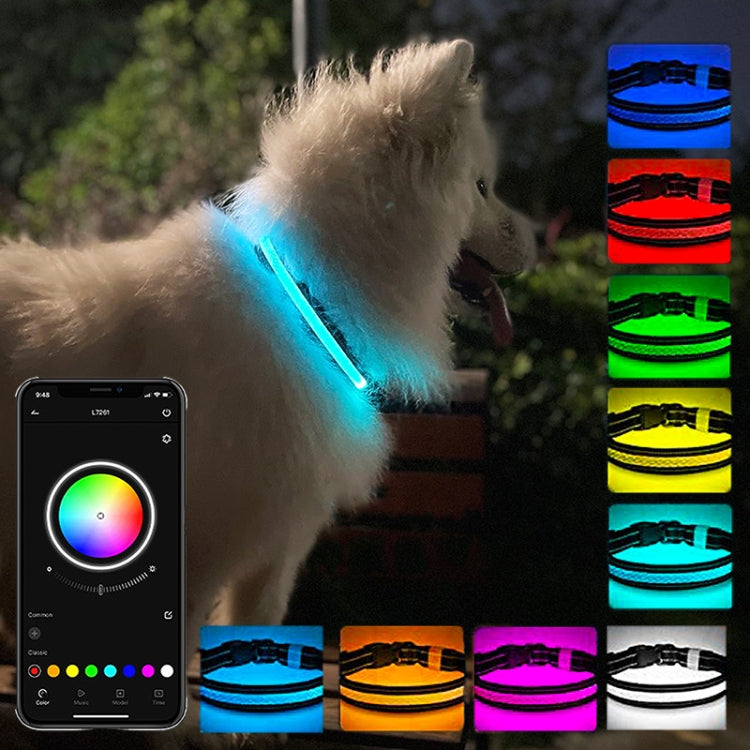 LED Rechargeable Wear-resistant and Waterproof Pet Lighting Collar, Size: M(Black)