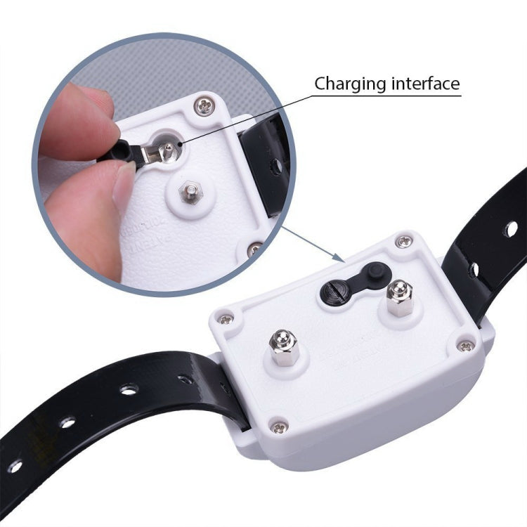 KD-661 500m Wireless Electric Dog Pet Fence Shock Collar,Spec: For One Dog(AU Plug)