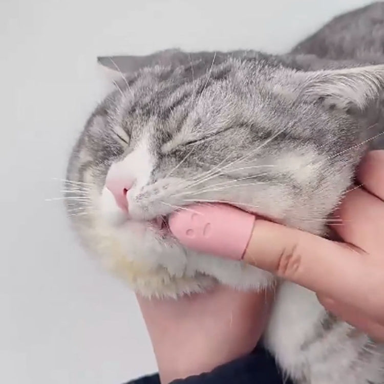 Pet Cats Dog Cleaning Comb Chin Teeth Cleaning Brush Silicone Brush(Pink)