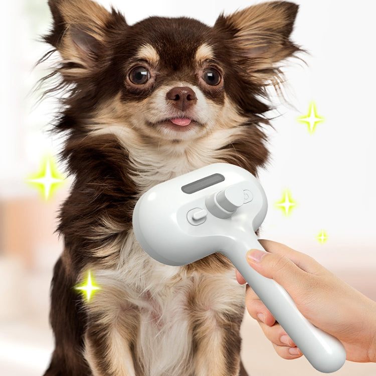 RK56 USB Charging Spray Pet Grooming Comb Cat and Dog Hair Removal Tool Pet Products(Green)
