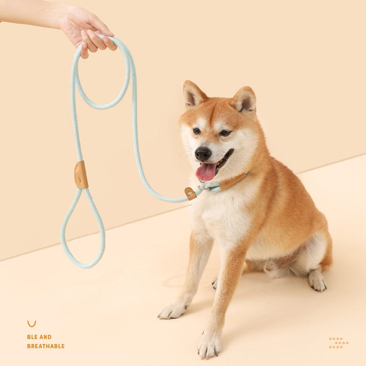 1.8m x 1cm Dog Traction Rope Mid Large Dog Universal Safety Buckle Chain Circle(Black)