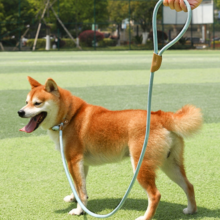 1.5m x 1cm Dog Traction Rope Mid Large Dog Universal Safety Buckle Chain Circle(Brown)