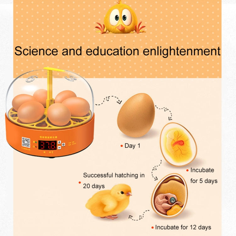 6-Eggs Small Household Experimental Children Smart Chicken Incubators, Spec: Automatic UK Plug