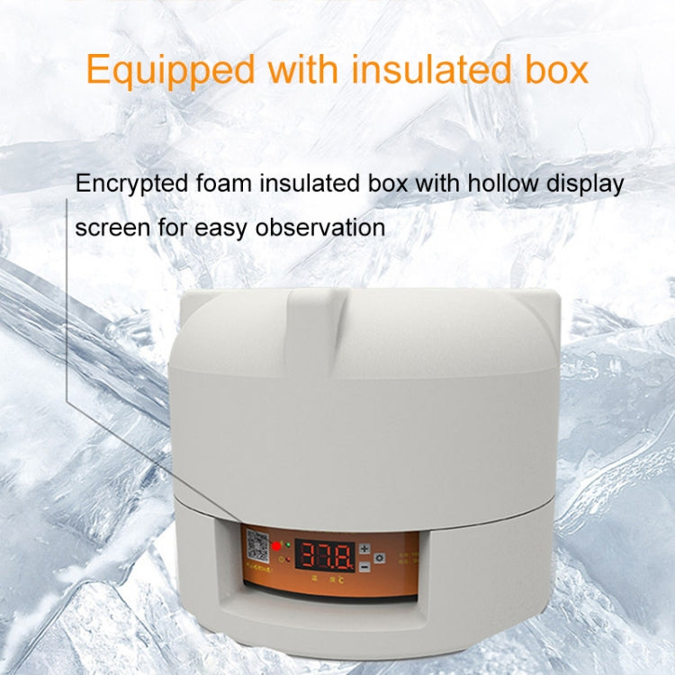 6-Eggs Small Household Experimental Children Smart Chicken Incubators, Spec: Automatic US Plug
