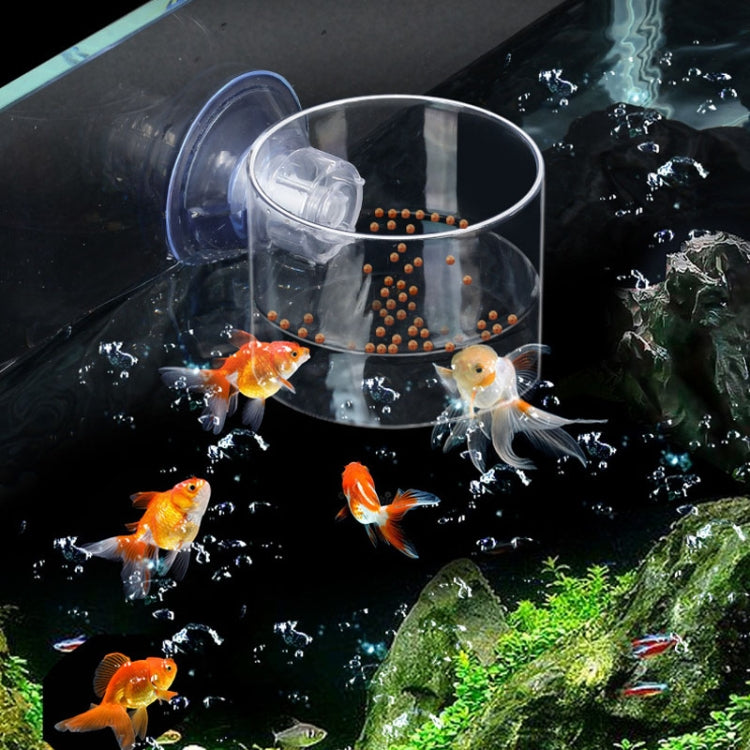 Acrylic Transparent Feeding Ring Fish Tank Feeder Floating Fixed Fish Feeder, Specification: Large Cylinder