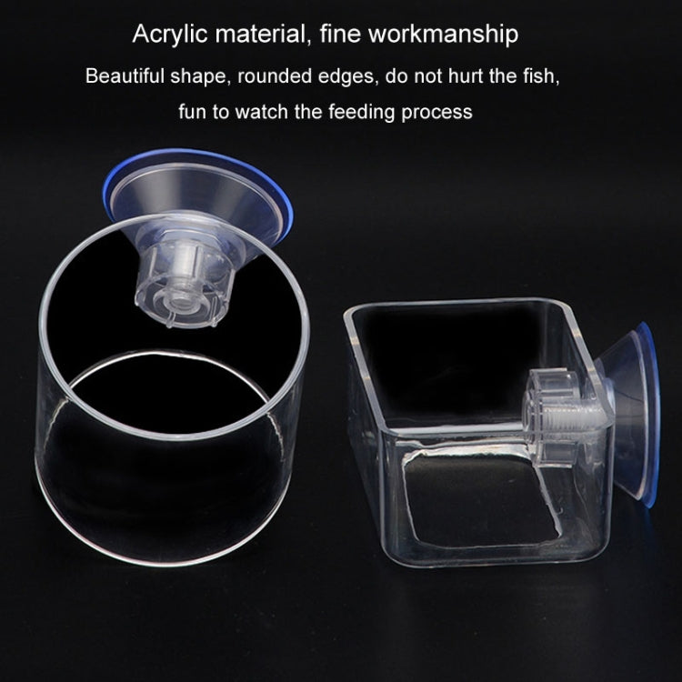Acrylic Transparent Feeding Ring Fish Tank Feeder Floating Fixed Fish Feeder, Specification: Large Cylinder