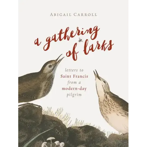 A Gathering of Larks: Letters to Saint Francis from a Modern-Day Pilgrim