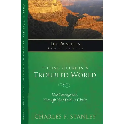 Feeling Secure in a Troubled World